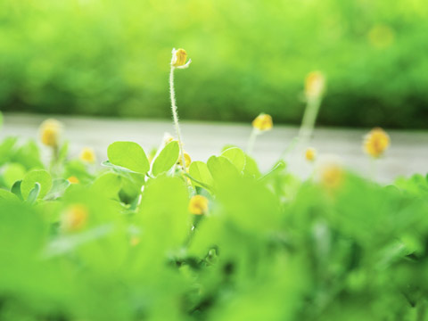 面相捷径诗赋之阅人生百态（下）