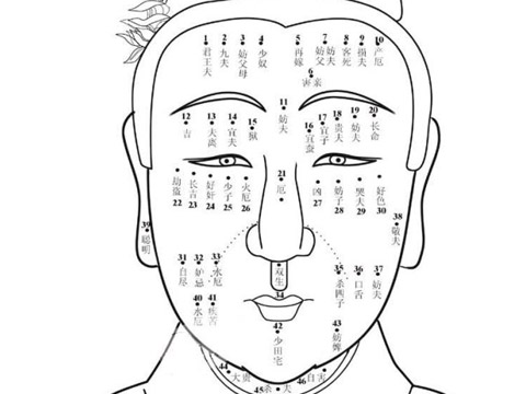 面相十二宫图解之命宫详解