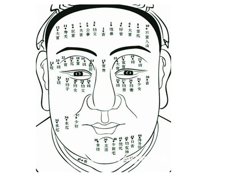 面相十二宫图解之兄弟宫详解