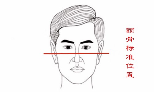 怎么看自己的颧骨高不高,大师教你看相