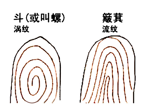 手相斗簸箕算命图解