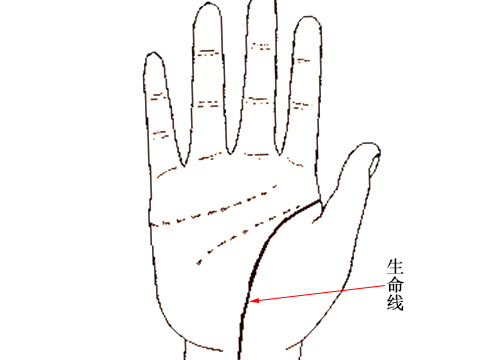 生命线分叉图解大全