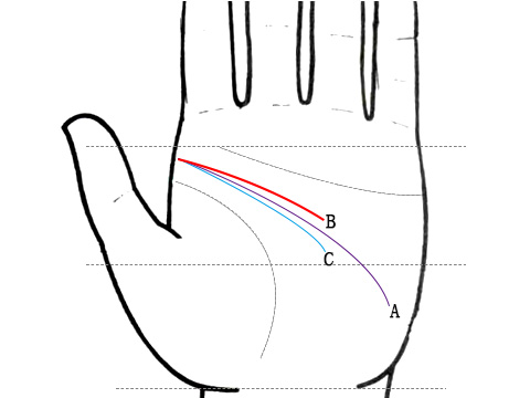 智慧线手相图解大全