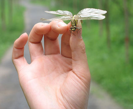 手相看手上各个部位有痣的寓意