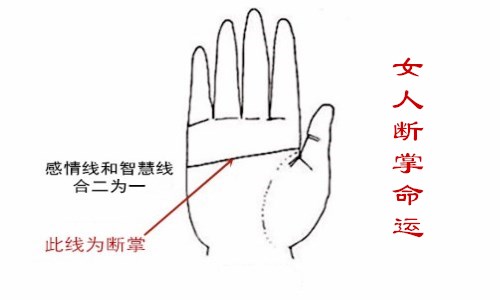 断掌的女人命运如何，详解断掌女人的命运