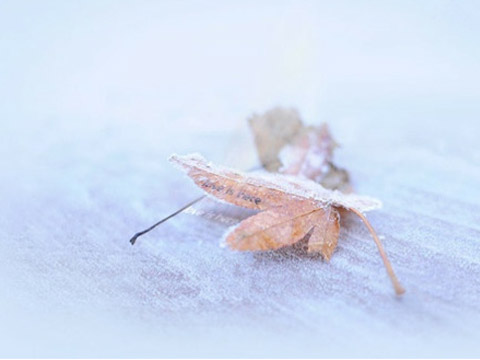 水瓶座和什么星座最相配