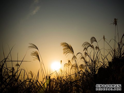 周公解梦梦见死人是什么意思 做梦梦到死人代表什么