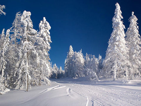 周公解梦梦见冰天雪地是什么意思 做梦梦到冰天雪地代表什么