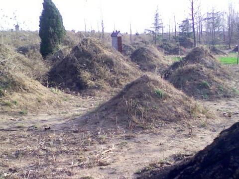 看坟地伤了地师怎么化解