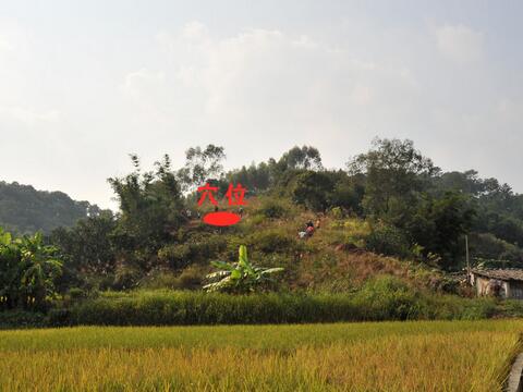 阴宅寻龙的五种方法 寻龙点穴的方法