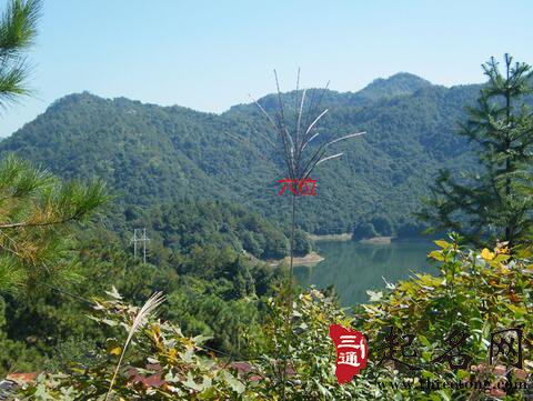 乙山辛向的阴宅风水