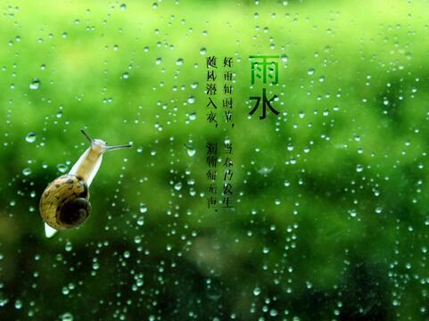 二十四节气之雨水养生